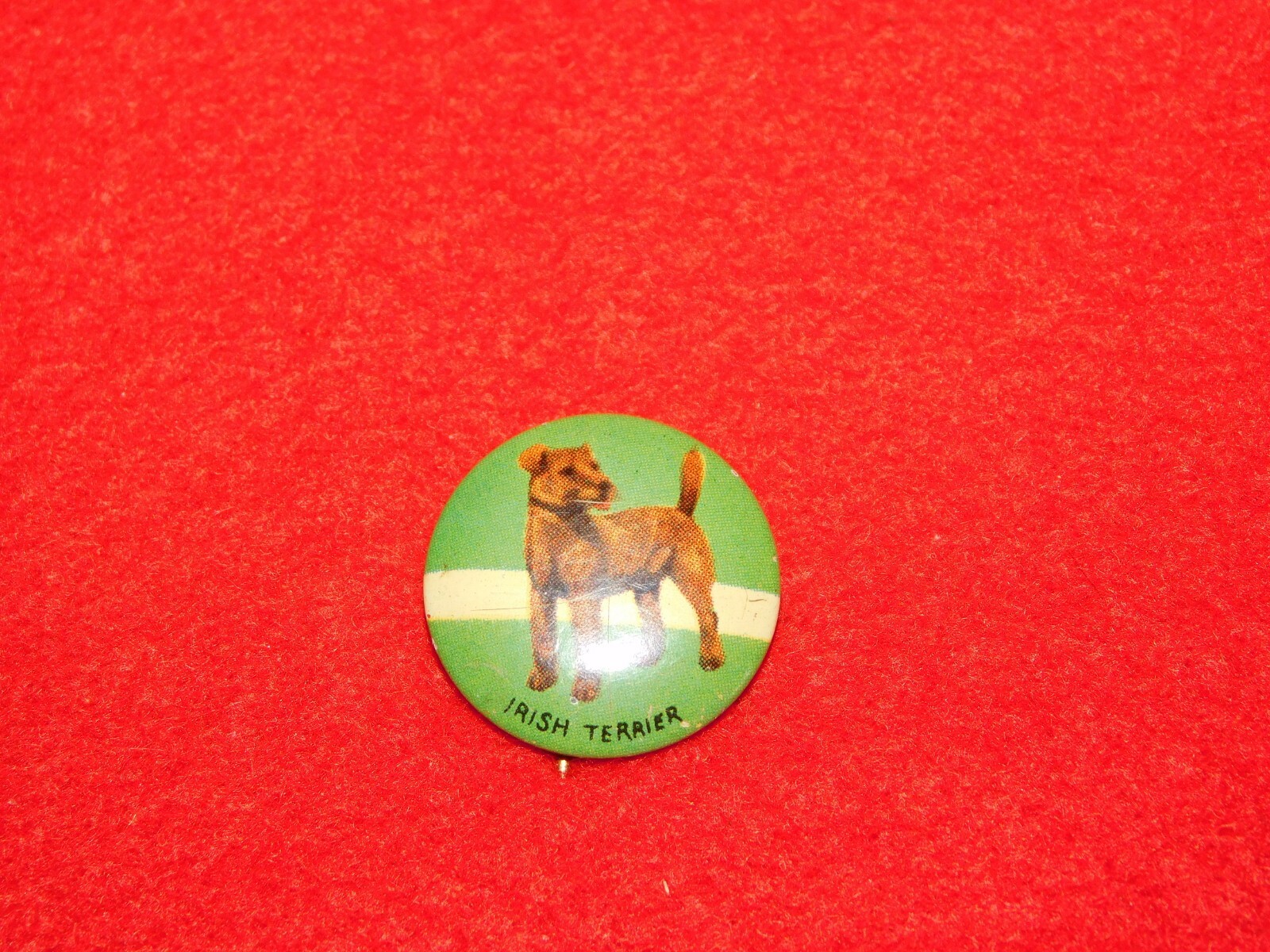 VINTAGE PINBACK BUTTON IRISH TERRIER VINTAGE PINBACK BUTTON IRISH TERRIER