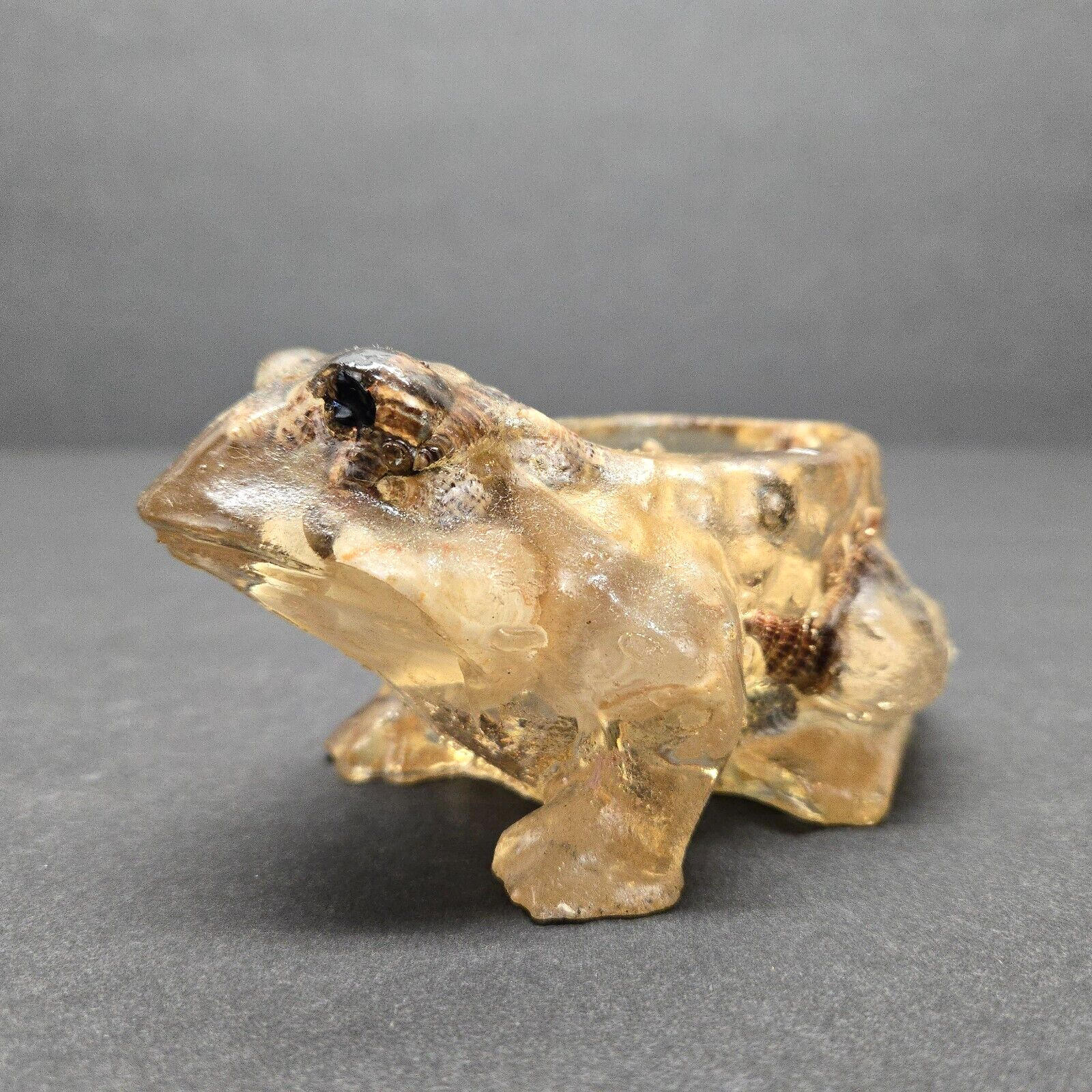 Vintage Clear Resin frog toad candle holder Sea Shell Figurine Trinket Box