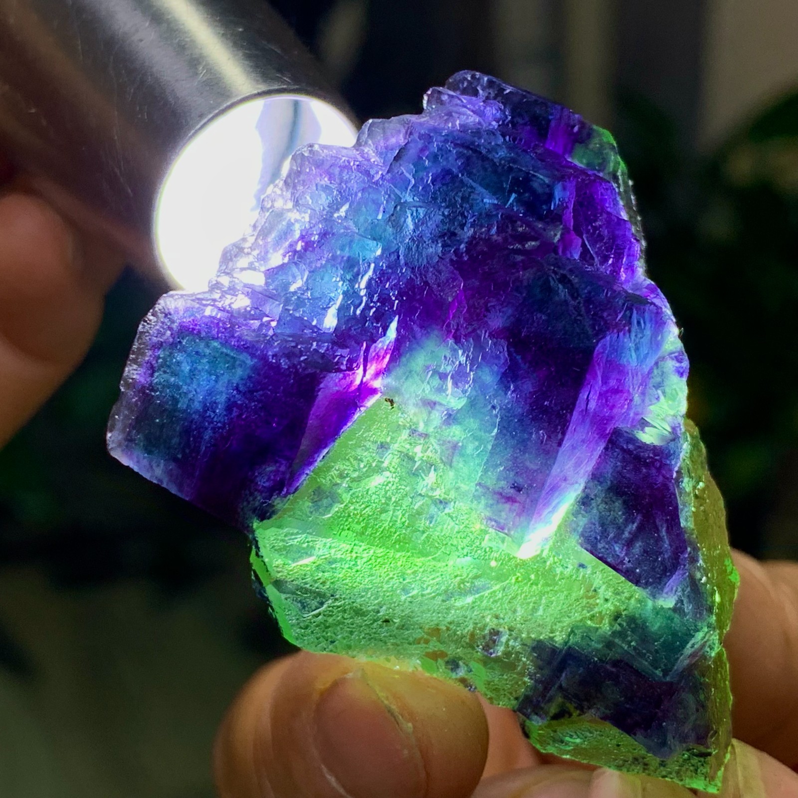 50G Rare transparent green purple cubic Zhejiang fluorite mineral sample