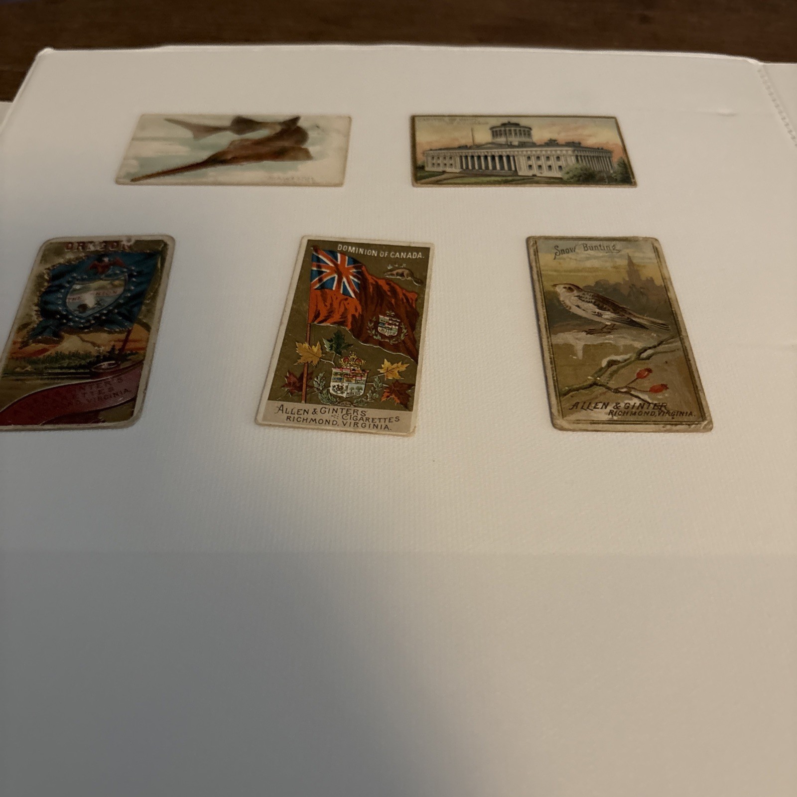 Vintage Allen and Ginter Lot Of 5- 1880’s