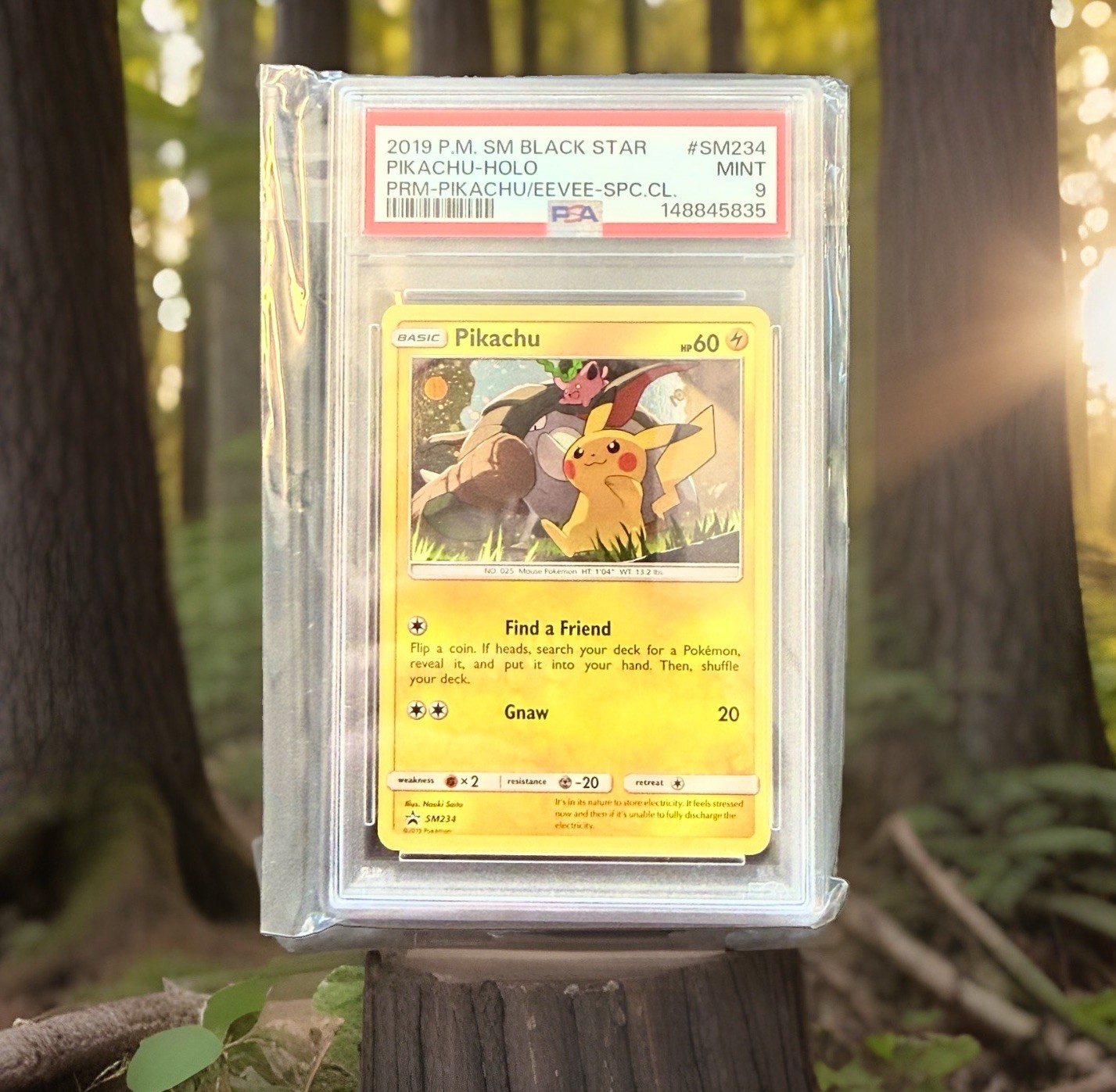 2019 P.M. SM BLACK STAR PIKACHU-HOLO PRM-PIKACHU/EEVEE-SPC.CL. SM234 PSA 9 MINT
