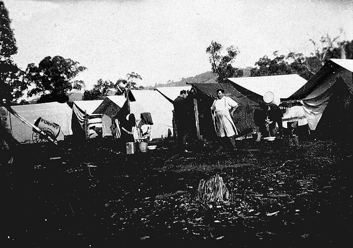 Casterton District, Victoria, 1929 A railway survey camp for the prop Old Photo