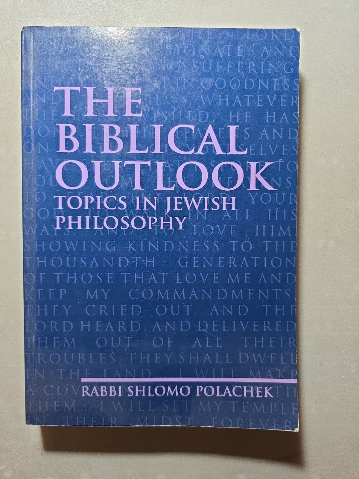The Biblical Outlook, By R  Polachek, S/C.Jewish Book/Sefer