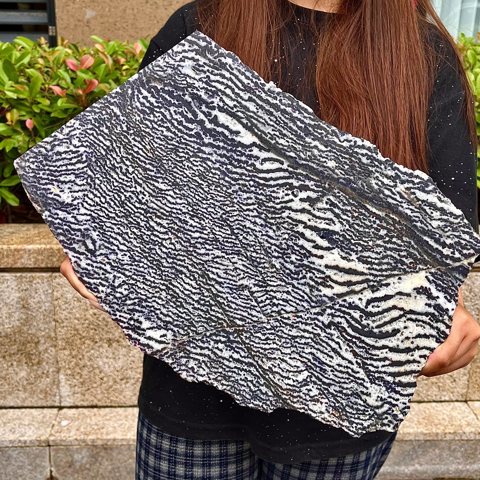 4.98LB  Beautiful Zebra Rock - Unique Purple and White Striped Gemstone