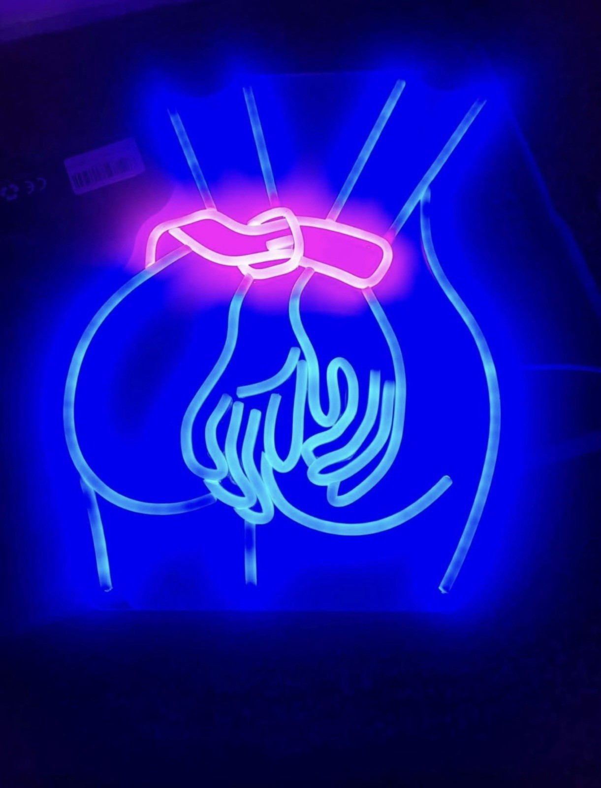  Lady Neon Sign,Neon Sign for Wall Decor,Lady Back Neon Light Up Sign,LED girls