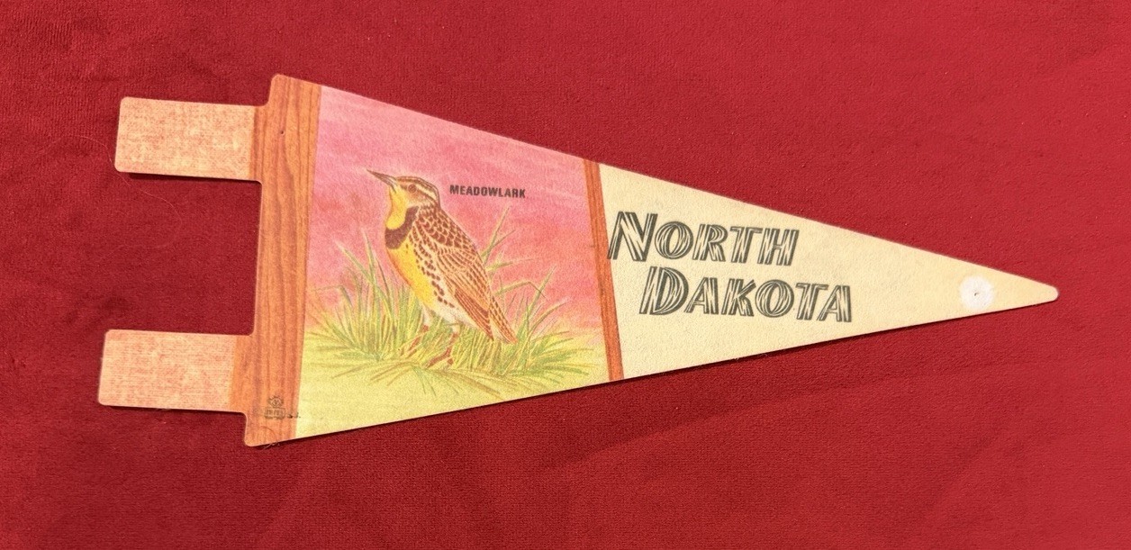 Vintage North Dakota 8 Inch Mini Pennant Meadowlark Bird Graphic