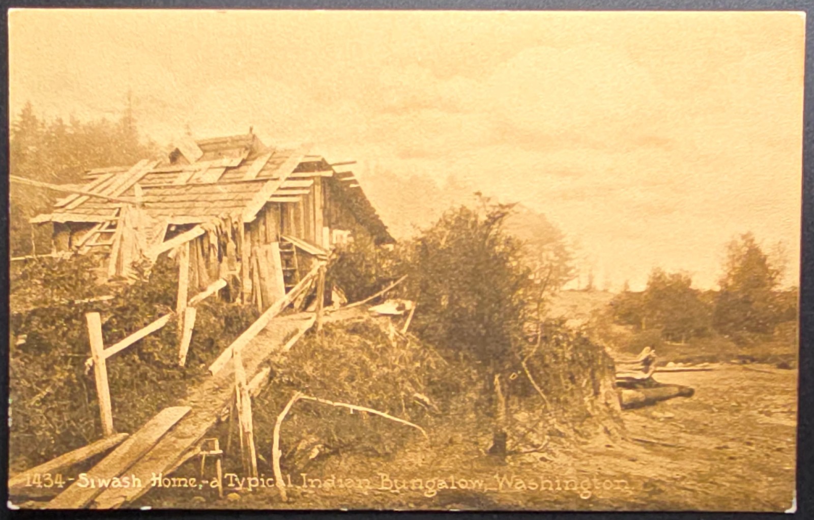 Swash Home Typical Indian Bungalow Washington Postcard c1910s–1920s