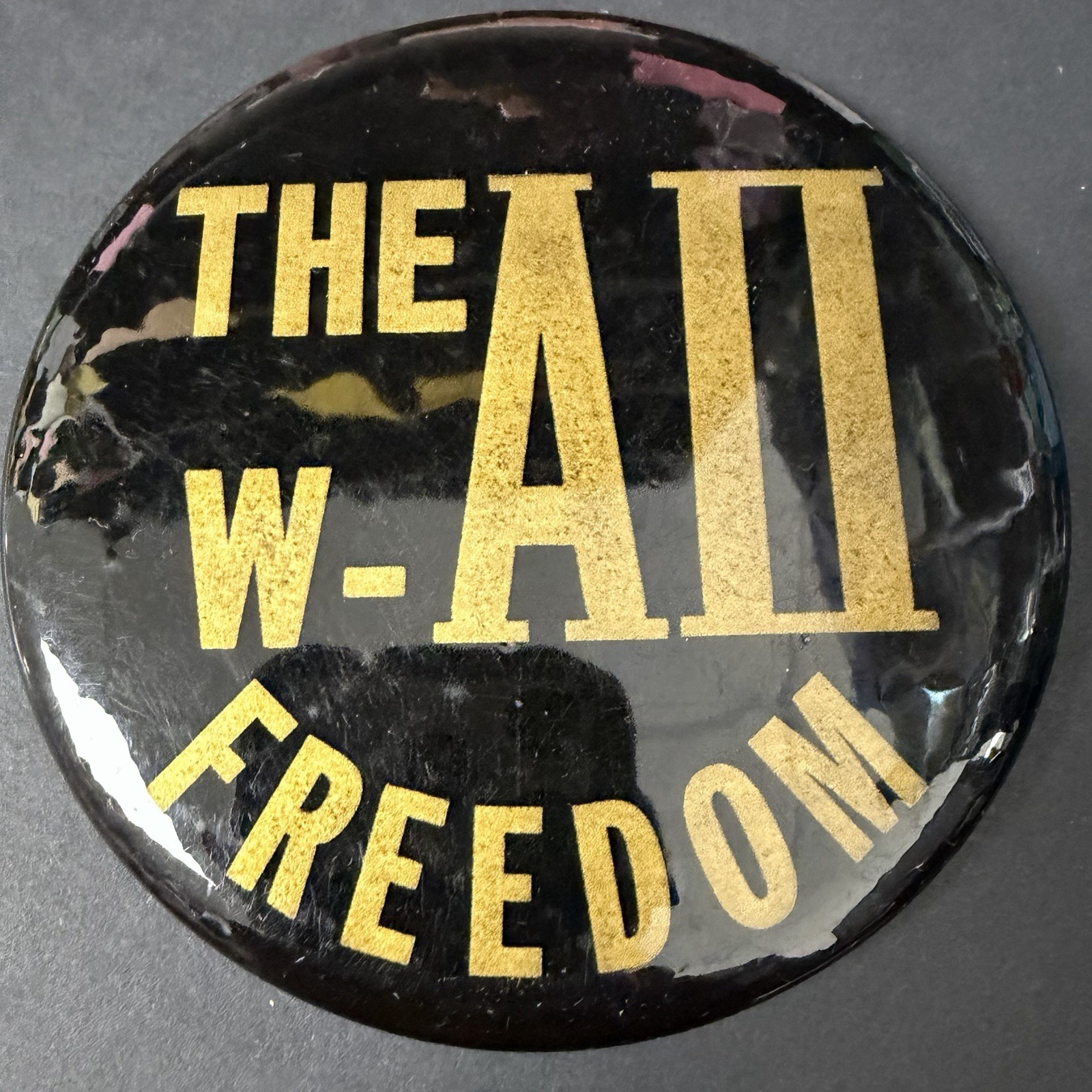 VTG Rare Civil Rights Movement 1963 Washington March Segregation Pin Button