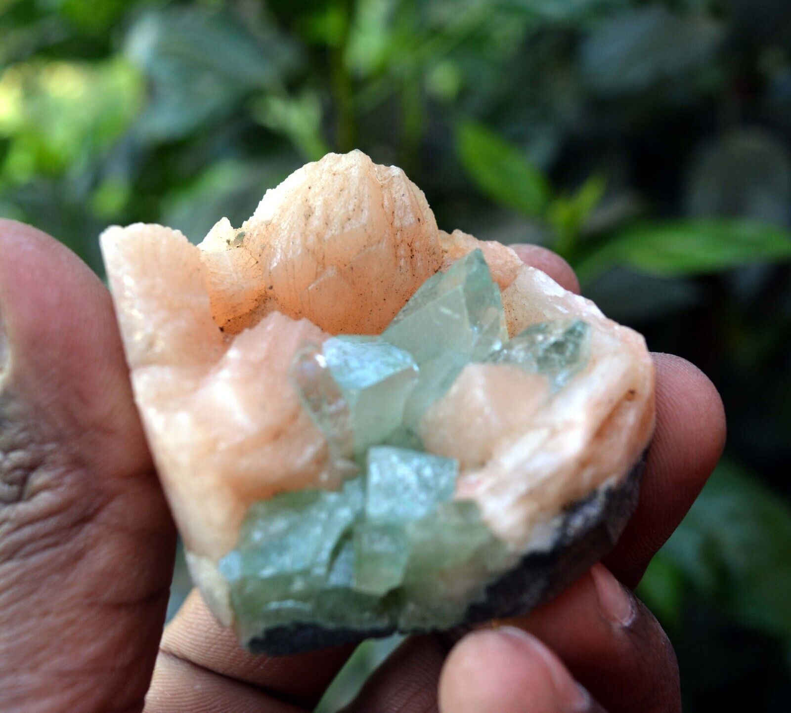 Green APOPHYLLITE On STILBITE Minerals A-4.24