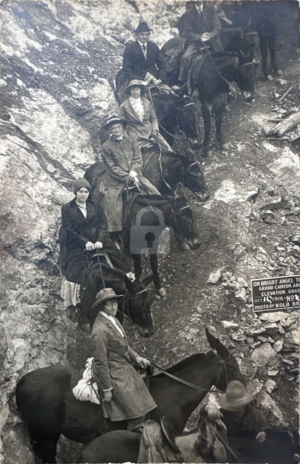 1916 Grand Canyon Tourists On Mules RPPC Photo Postcard COPY