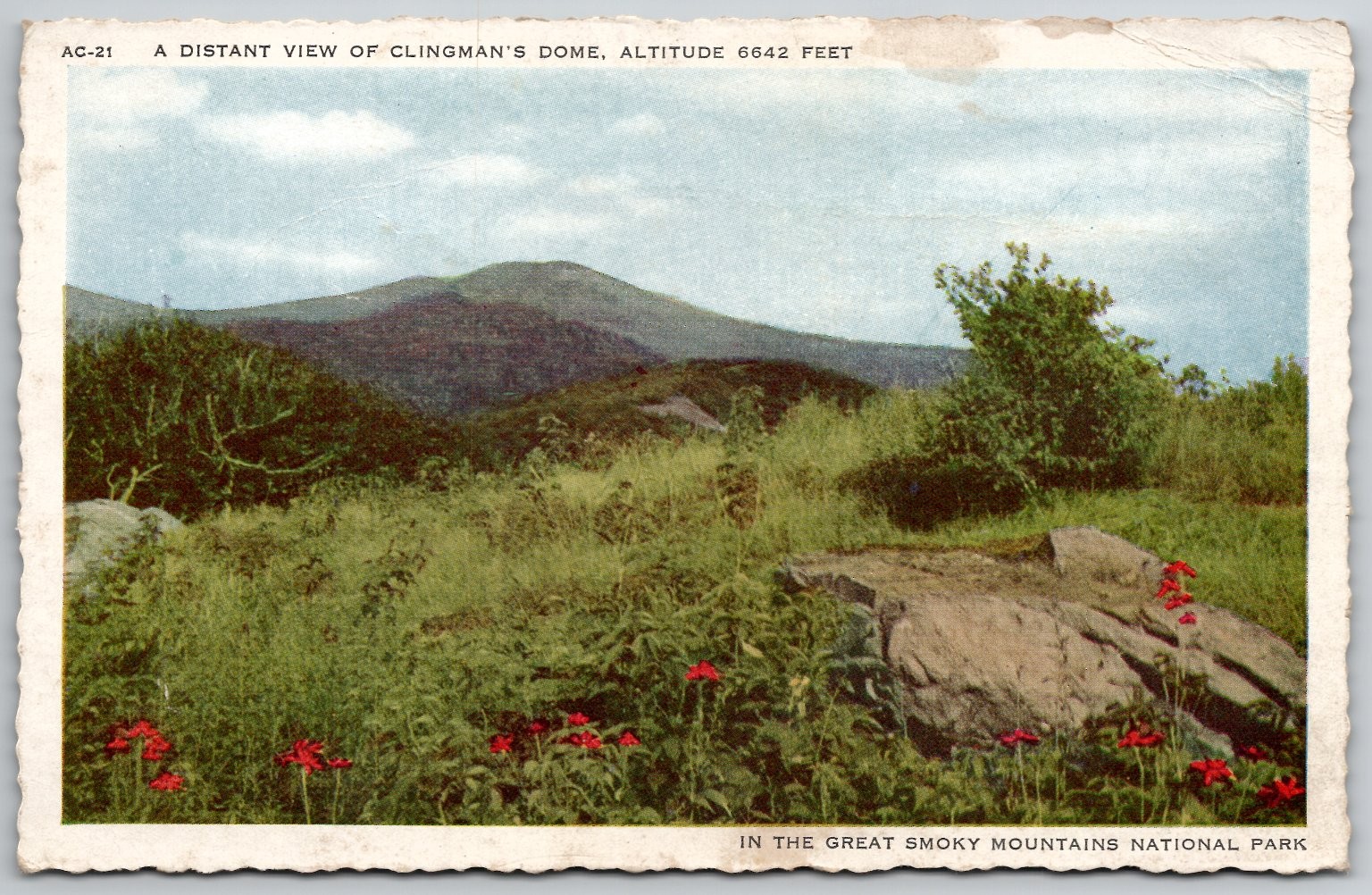 Clingman's Dome Great Smoky Mountains NC Linen Postcard Vintage AC-21
