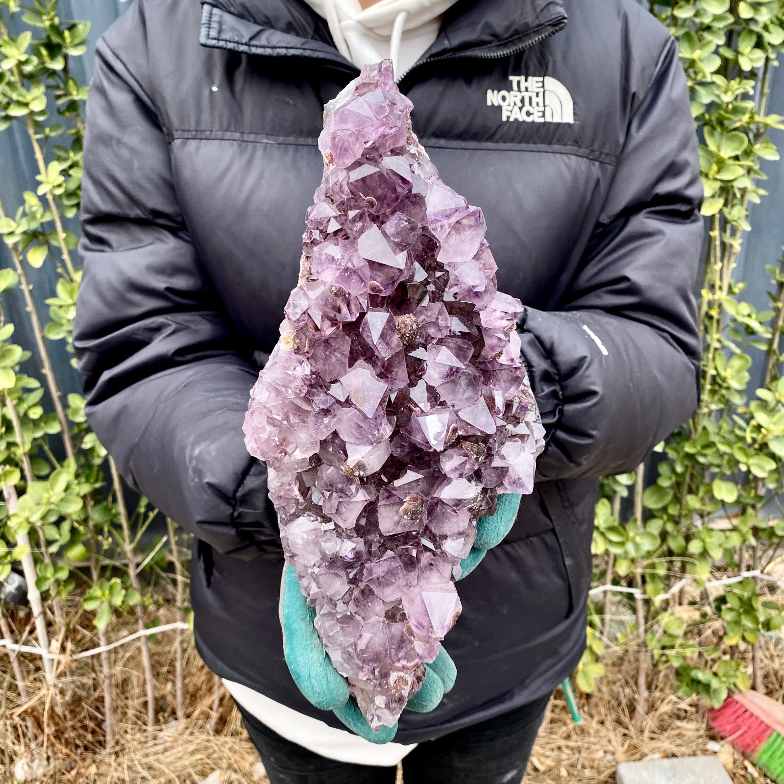 5.8LB Natural Amethyst geode quartz cluster crystal specimen Healing