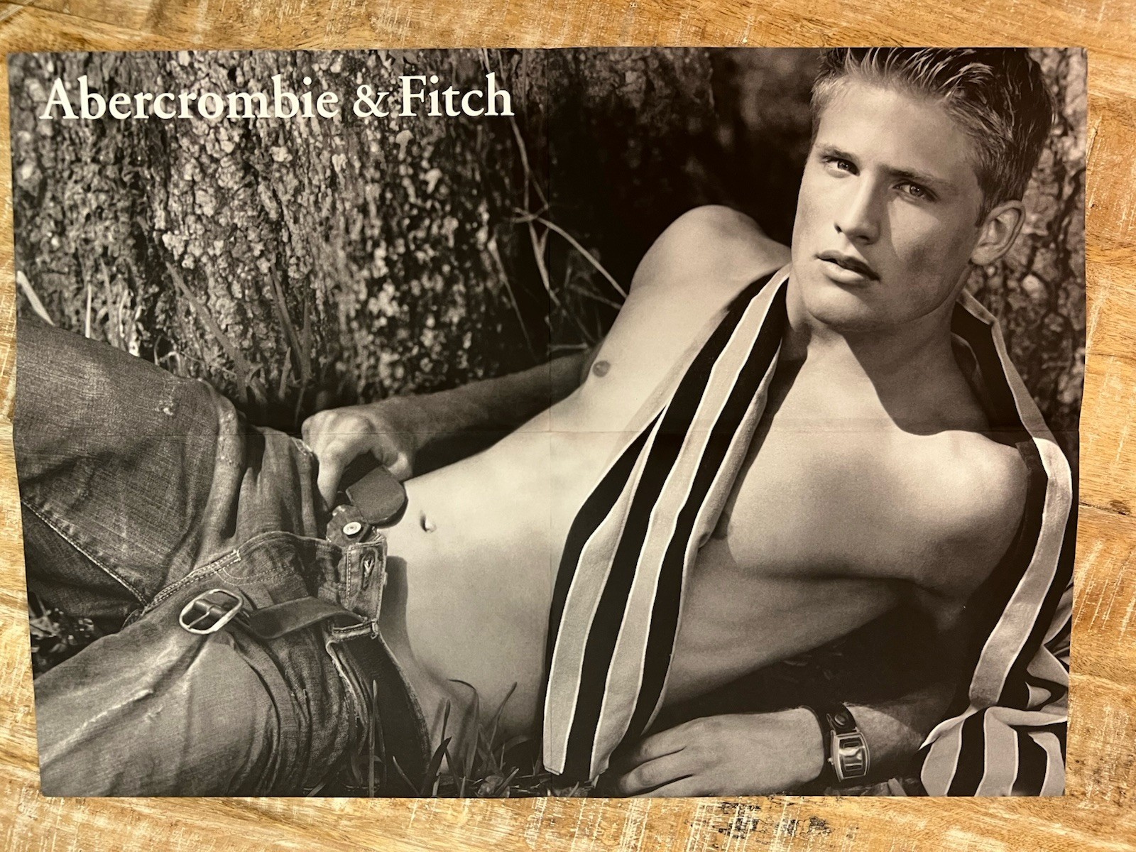 Abercrombie & Fitch Vintage Fold-Out Poster 21” x 15” Proof Ad Campaign Male y2k Abercrombie & Fitch Vintage Fold-Out Poster 21” x 15” Proof Ad Campaign Male y2k