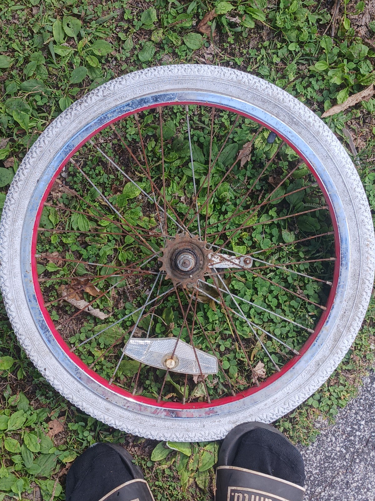 1987 Schwinn Predator Free Form Bmx Rear Rim Vintage Schwinn Bmx PARTS 