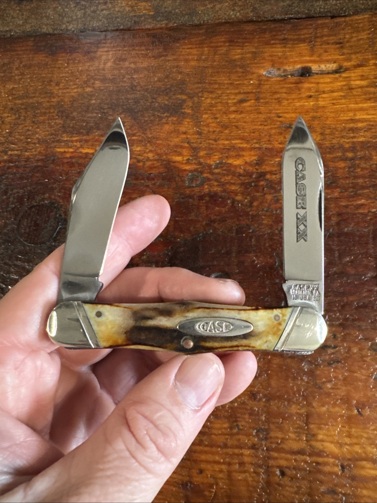 RARE CASE TESTED XX 52046J MOOSE Two Blade Knife. GNARLY STAG SCALES, 1992
