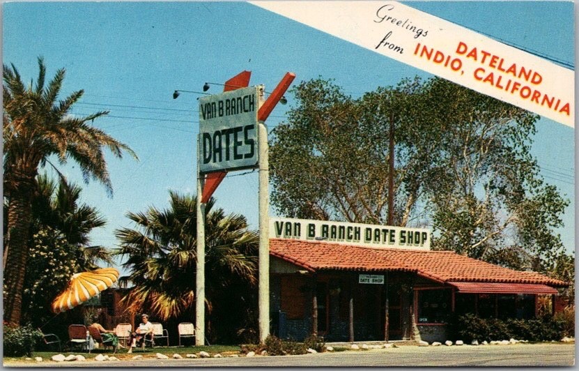 c1950s INDIO, California Postcard \