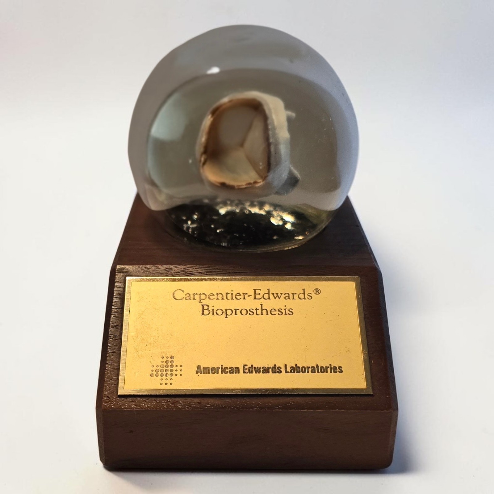 Vintage Carpenter-Edwards Laboratories Encased Heart Valve Bioprosthesis Display