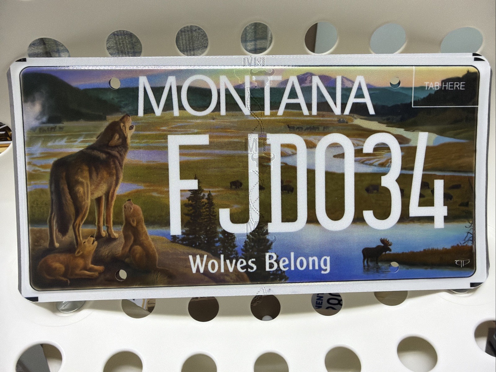 WOLVES BELONG   BEAR CREEK COUNCIL   MONTANA LICENSE PLATE