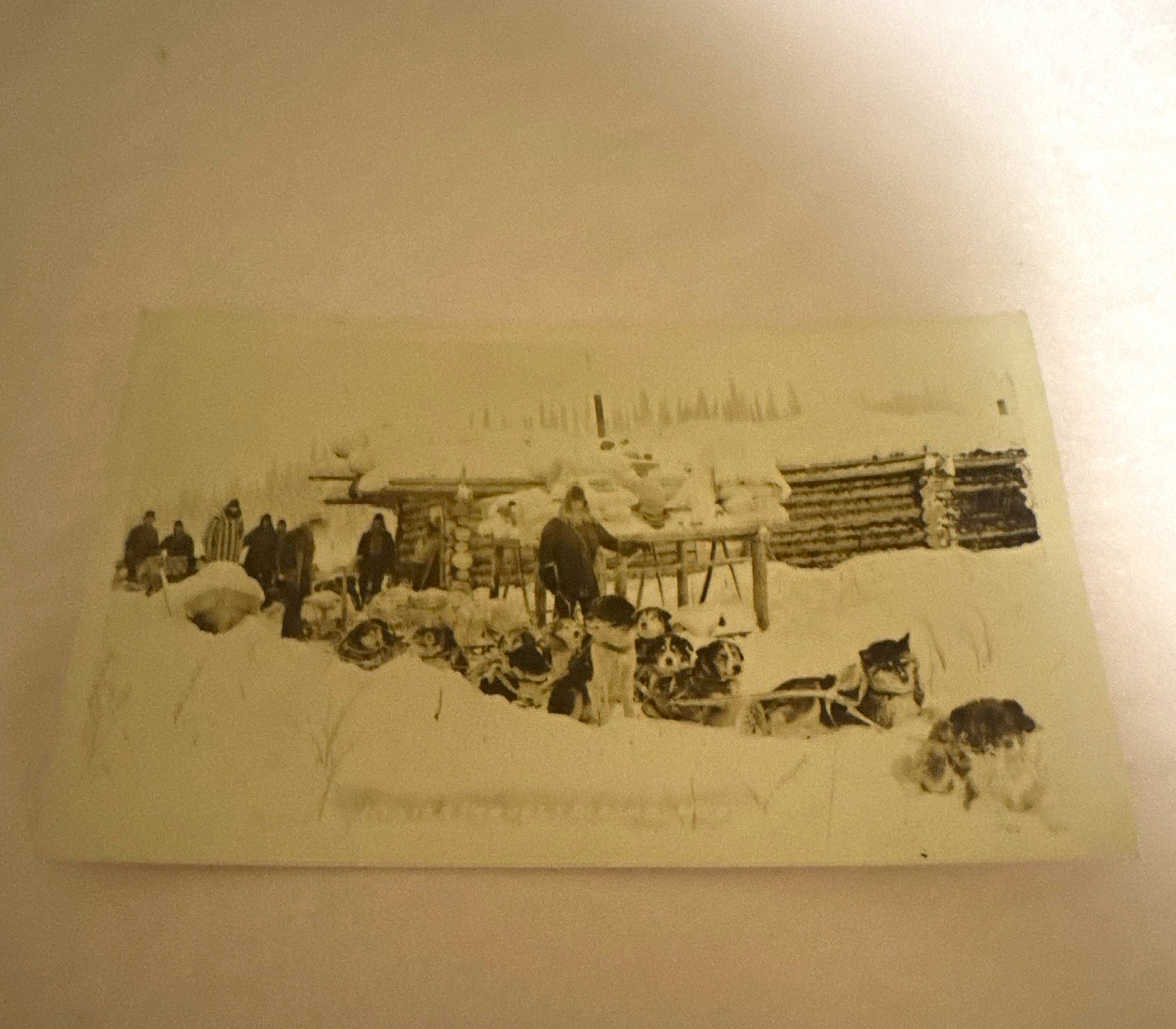 Dog Sled Team Winter Transportation Real Photo RPPC Postcard, Unposted Original