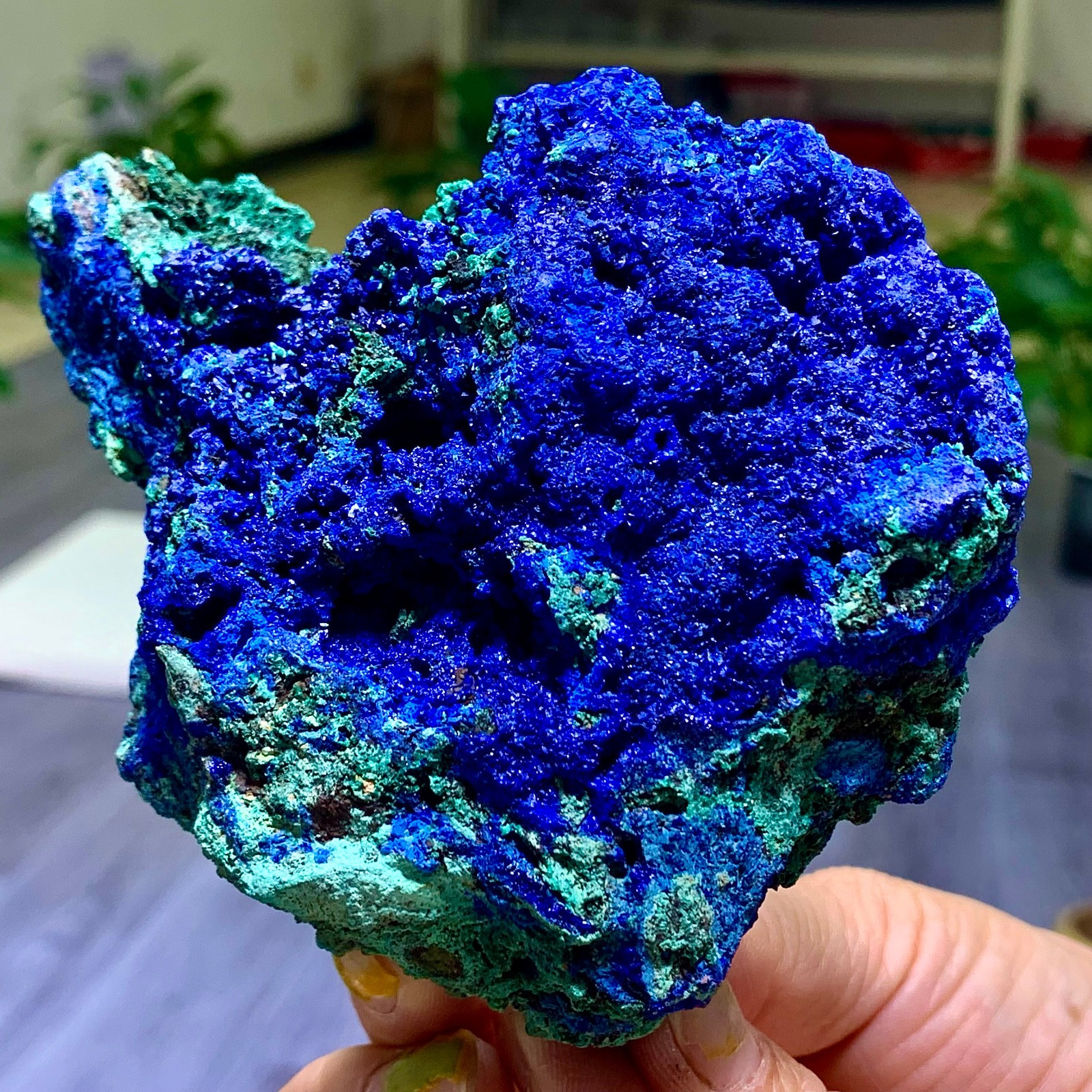 344G BEST Natural Azurite/Malachite crystal minerals specimens