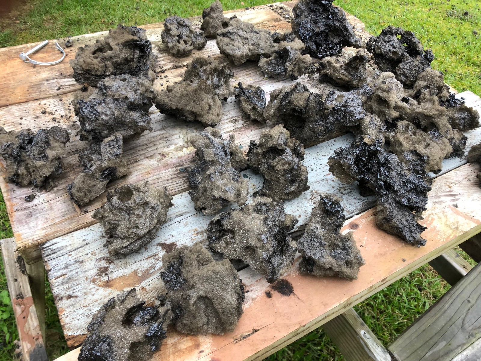 Hawaiian Lava, Volcanic Tephra from the Kilauea Eruption of January 24, 2026