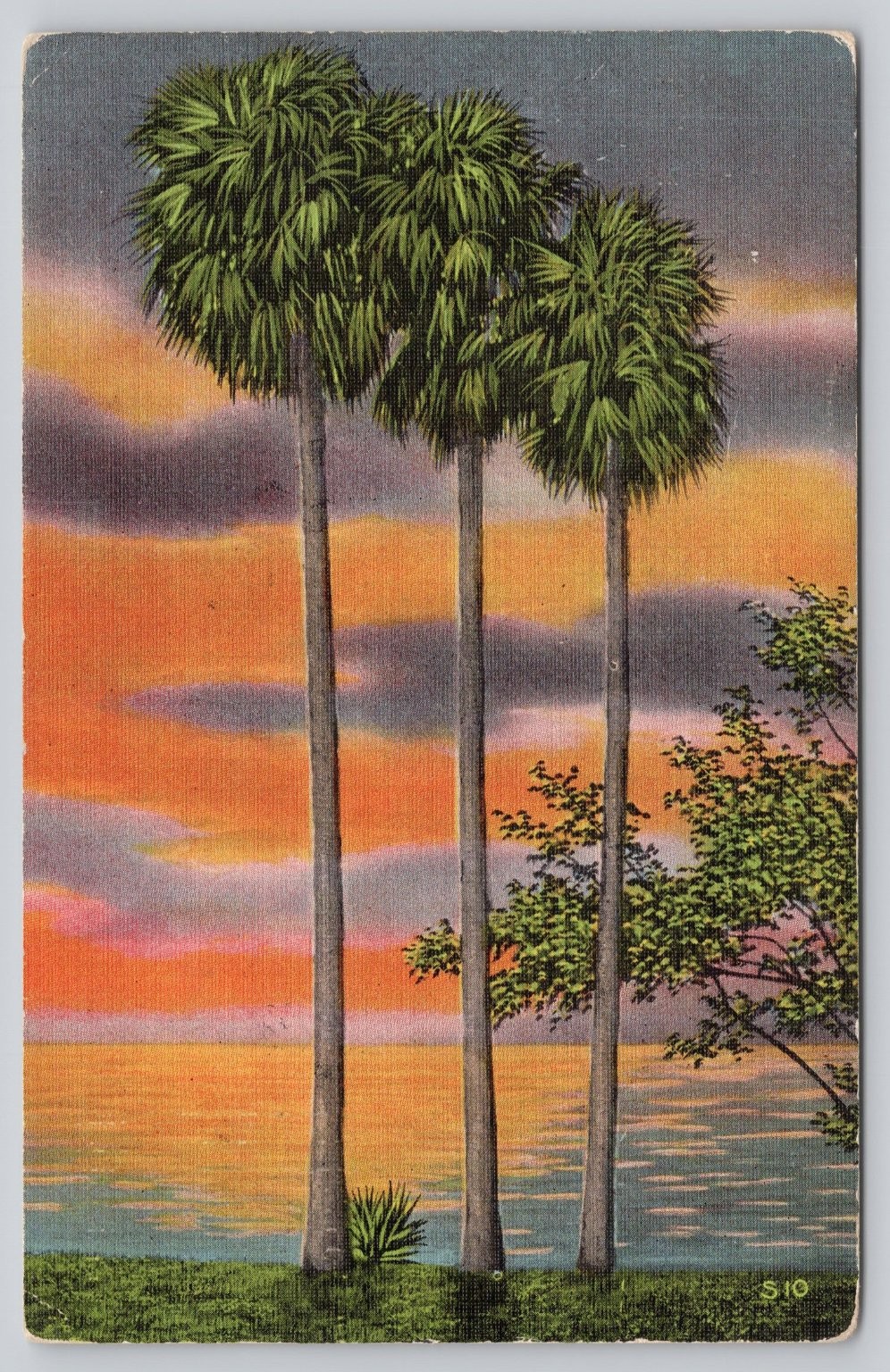 Vintage Florida Sunset Palm Trees Linen Postcard Miami FL 1938 E. C. Kropp