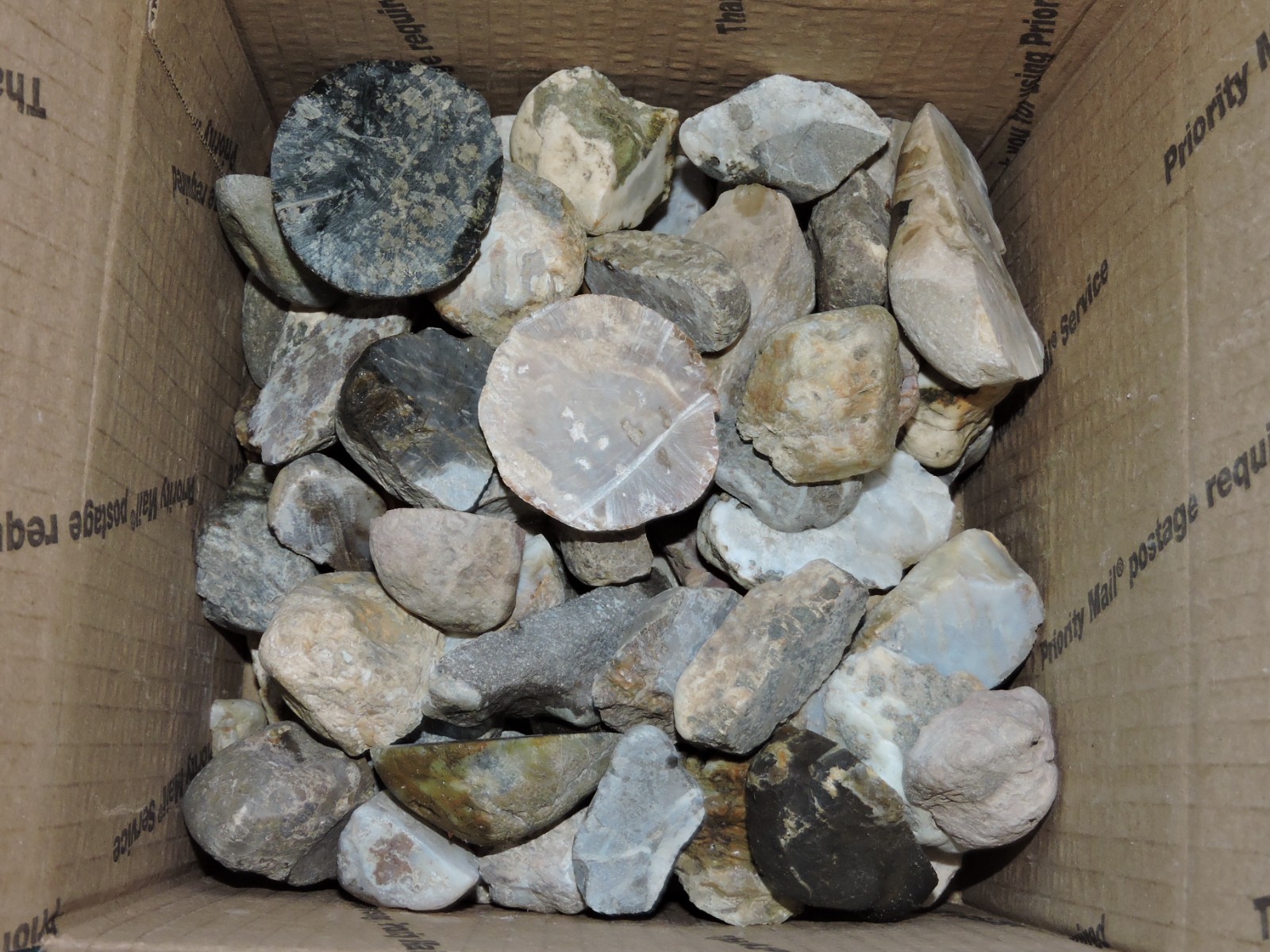 Lot of CUT MIXED STONE NODULES from PNW (7.9Lb) LAPIDARY SPECIMENS