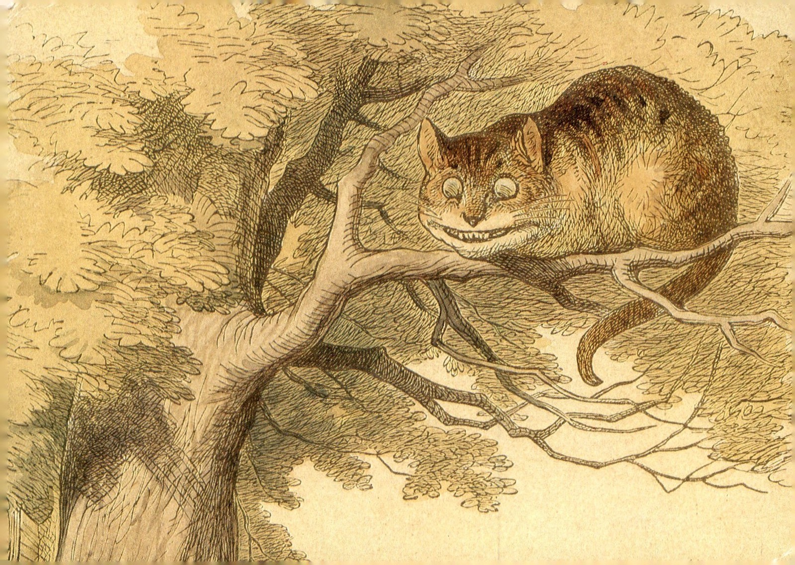 Cheshire Cat Proof Illustration, 1967 Postcard