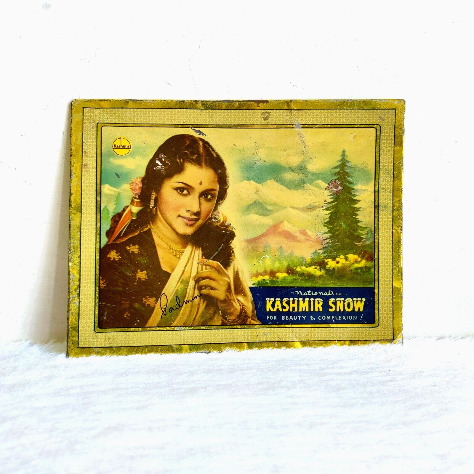1940s Vintage India Actress Padmini Graphics Kashmir Snow Adv Tin Sign TS359