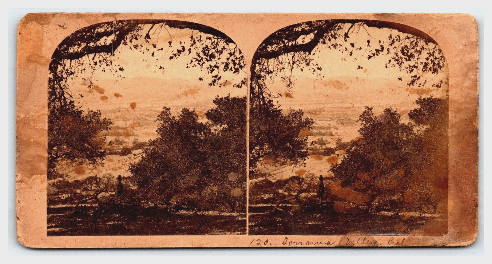 Sonoma California Stereoview Sonoma Valley 1870c