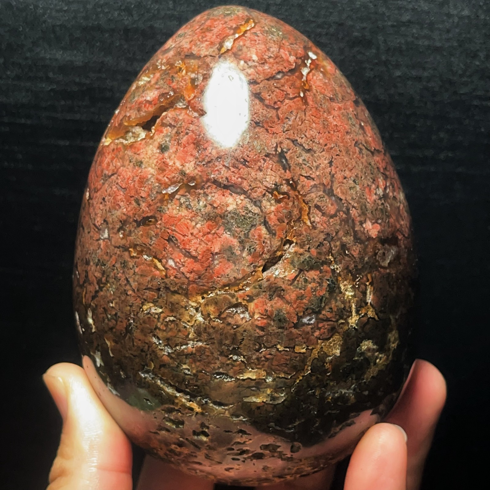TOP 1612G Natural Polished Ocean Jasper  Egg shaped Crystal Stone Healing L5664