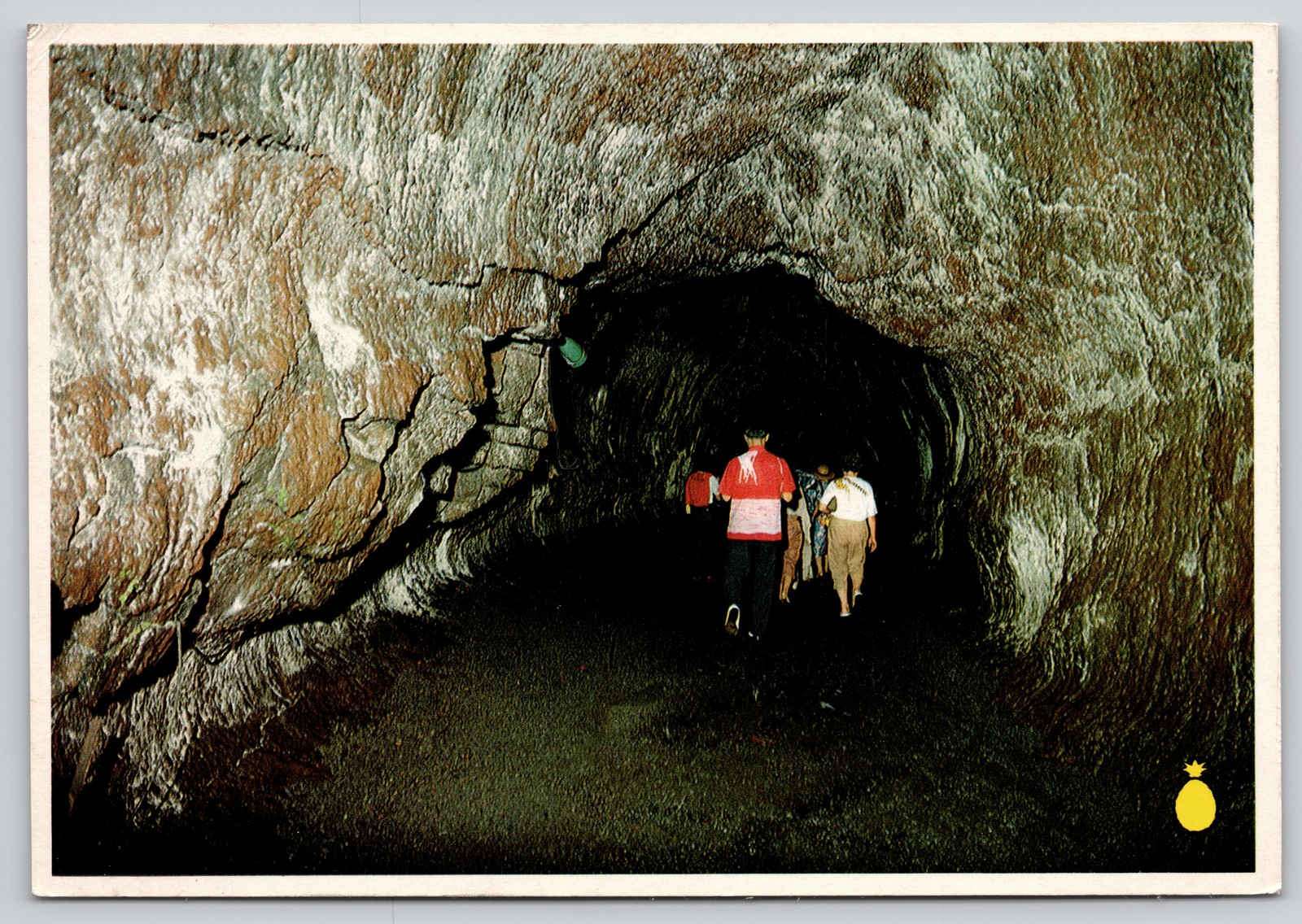 Thurston Lava Tube Volcanoes National Park Hawaii Postcard
