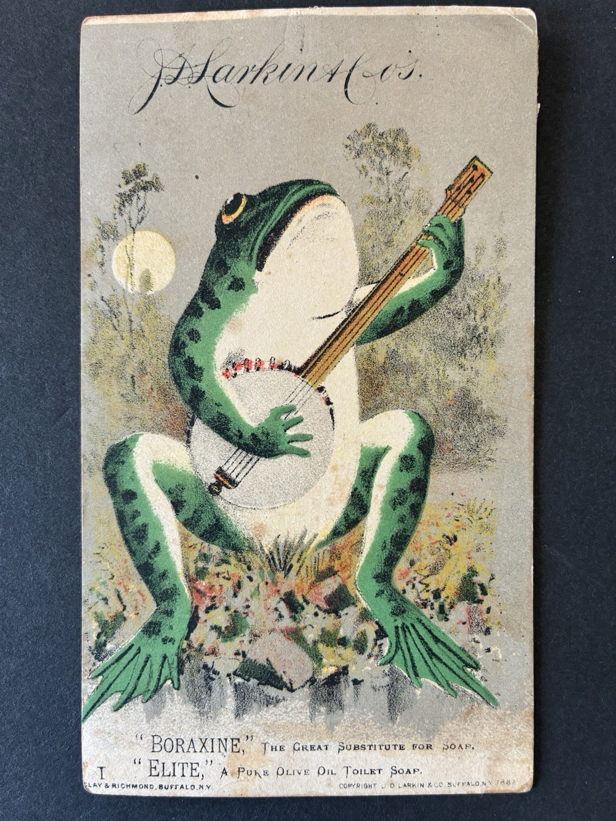 Antique 1882 J.D. Larkin Boraxine Soap Trade Card Frog Playing Banjo Victorian