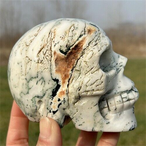 1.94lb Natural Moss Agate Quartz Hand Carved Crystal Skull Reiki Healing Decor