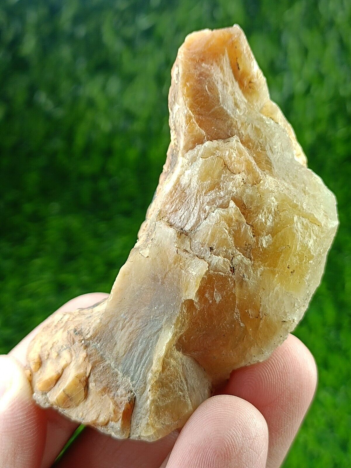 Very unique Astrophyllite included Golden Quartz Curved Crystal - Zagi Mnts, Pak