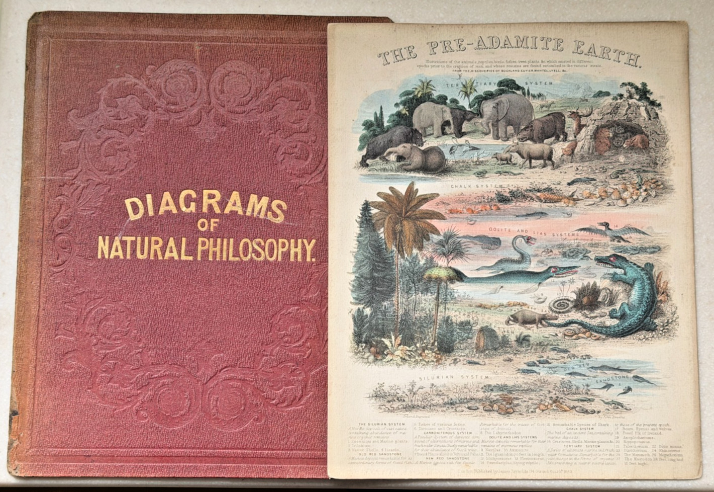 LOT 21 Antique 1850 Scientific Charts James Reynolds John Emslie Philosophy