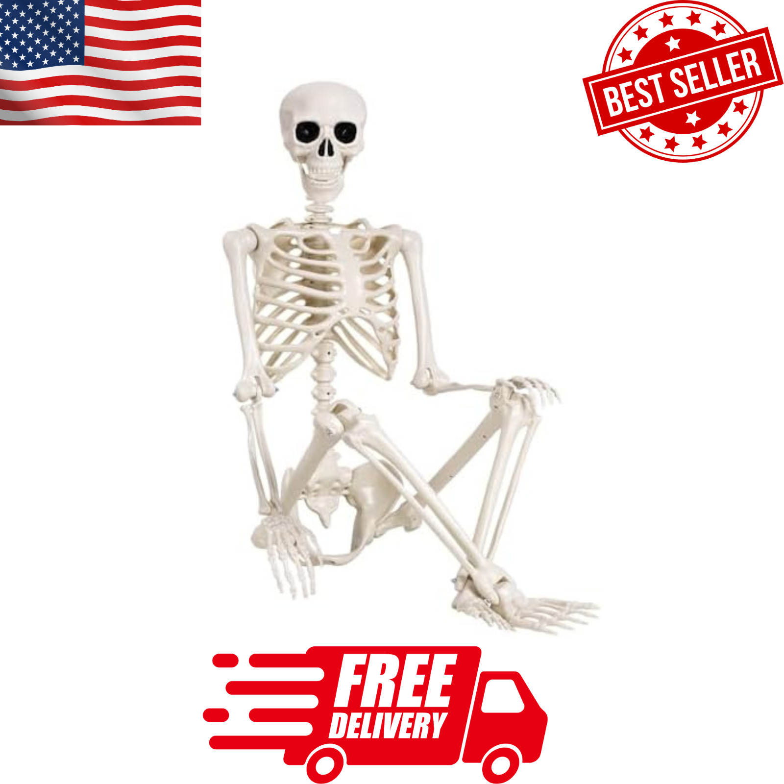5.4ft Halloween Skeleton Full Body Life Size Skeleton Bones with Movable Joints