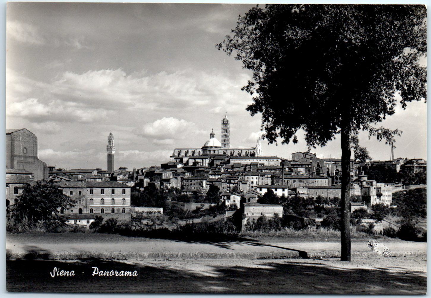 Postcard - Panorama Siena, Italy