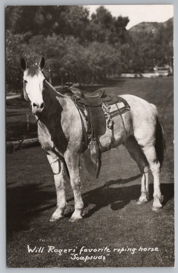 HORSE RPPC Will Rogers Favorite Roping Soapsuds Photo Postcard 8B