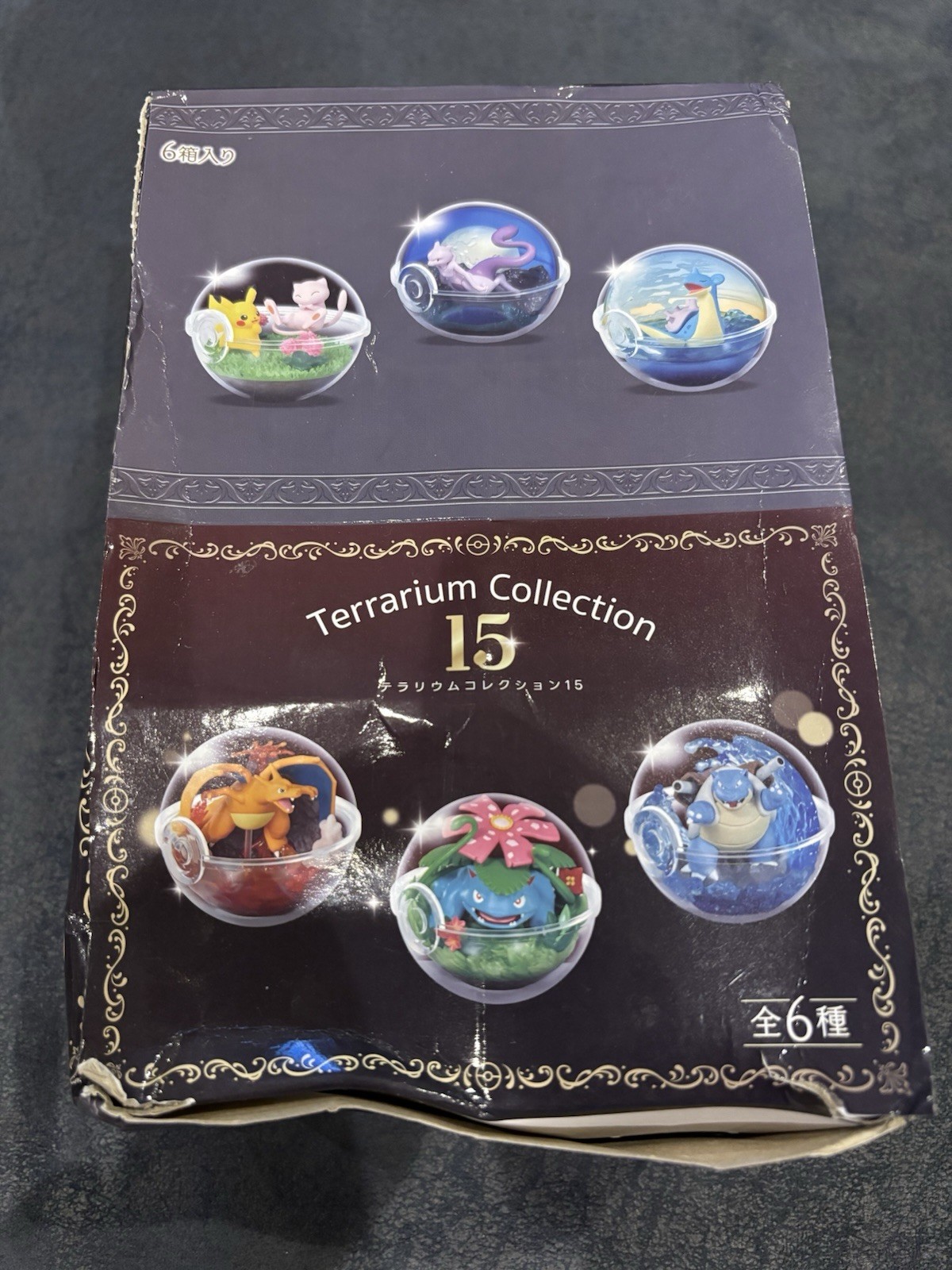 Pokémon Terrarium Collection Vol 15 All 6 Types Complete Set