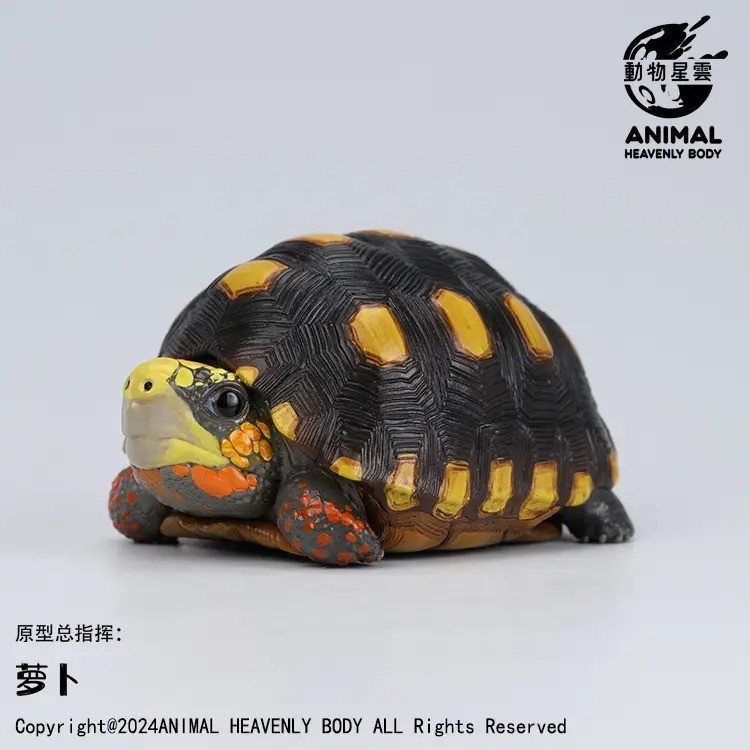 【In-Stock】 Animal Heavenly Body Red-footed Tortoise Statue Geocbelone carbonaria