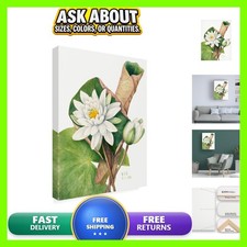 Trademark Fine Art American Waterlily Canvas Art 32x24 picture