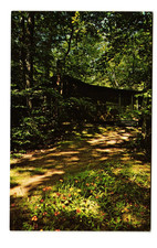 Wildflowers on path to Daybreak Cottage Woodruff WI VTG postcard UNP picture