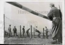 1957 Press Photo Hungarian Soldiers Mend Fence on Austrian Border, Heiligenkreuz picture