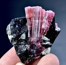85 Carat Pink Tourmaline Crystal On Smoky Quartz Specimen From Afghanistan picture