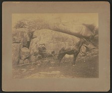 Photo:Gettysburg PA Devil's Den 1900s Man Woman Horse Drawn Buggy picture