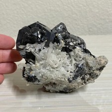 Rare 3.5”XL Dalnegorsk Galena with Sphalerite Crystal Cluster -Dalnegorsk Russia picture