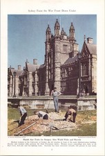 1943 WWII Sydney University Medical Students Digging War Front Photo Page picture