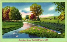 Vintage Postcard- Greetings from SAVANNAH, MO picture
