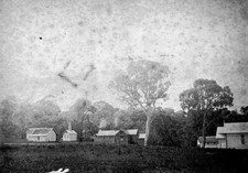 Warrock' Station Casterton District Victoria 1900 Old Photo picture